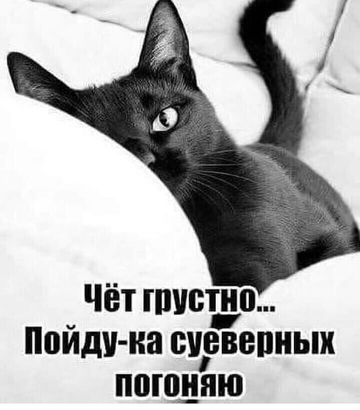Пойди на БЮВВПНЫХ ПВШННЮ
