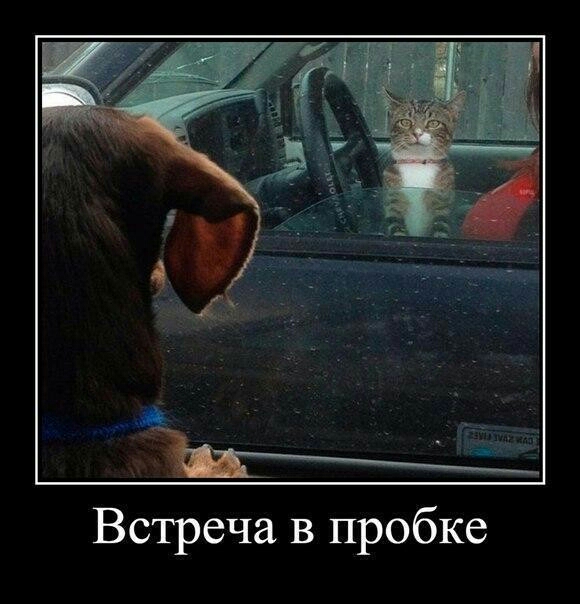 Встреча в пробке