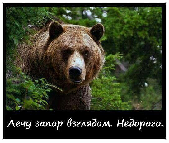Аечу запор бзглядом Недорого