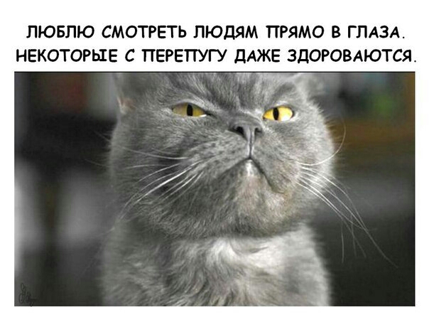 ЛЮБЛЮ СМОТРЕТЬ ЛЮДЯМ ПРЯМО В ГЛАЗА НЕКОТОРЫЕ С ПЕРЕПУГУ ДАЖЕ ЗДОРОВАЮТСЯ 7