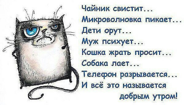 Чайник свистит Микроволновка пикает дети орут Муж психует Кошка жрать просит Собака поет и Телефон разрывается и И всё это называется добрым утром