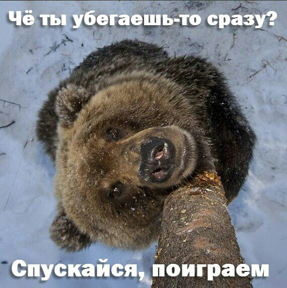 Чк 11 НАЦ ХЦ г ГЦ щ