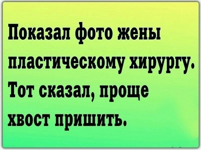 Показал фото жены пластическому хирургу Тот сказал проще хвост пришить