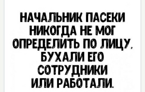 ндчАльник пдсвки никогдд нв мог определить по лицу БУХАЛИ ЕГО сотрудники или РАБОТАЛИ