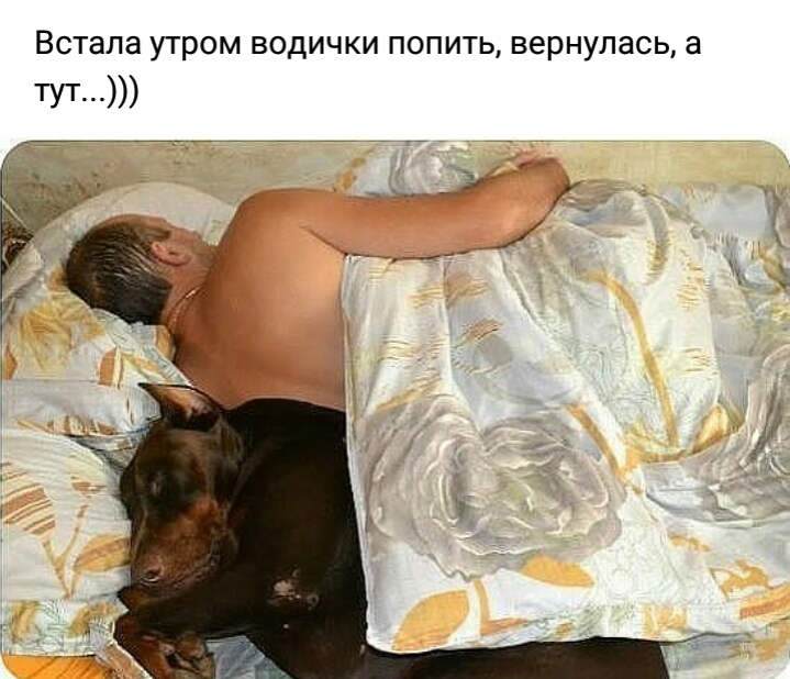 Встала УТРОМ ВОДИЧКИ ПОПИТЬ вернулась а тут