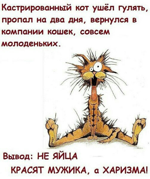 Кастрированньтй кот ушёл гулять пропал на два дня вернулся в компании кошек совсем молоденьких Вывод НЕЯЙЦА КРАСЯТ МУЖИКА ХАРИЗМА