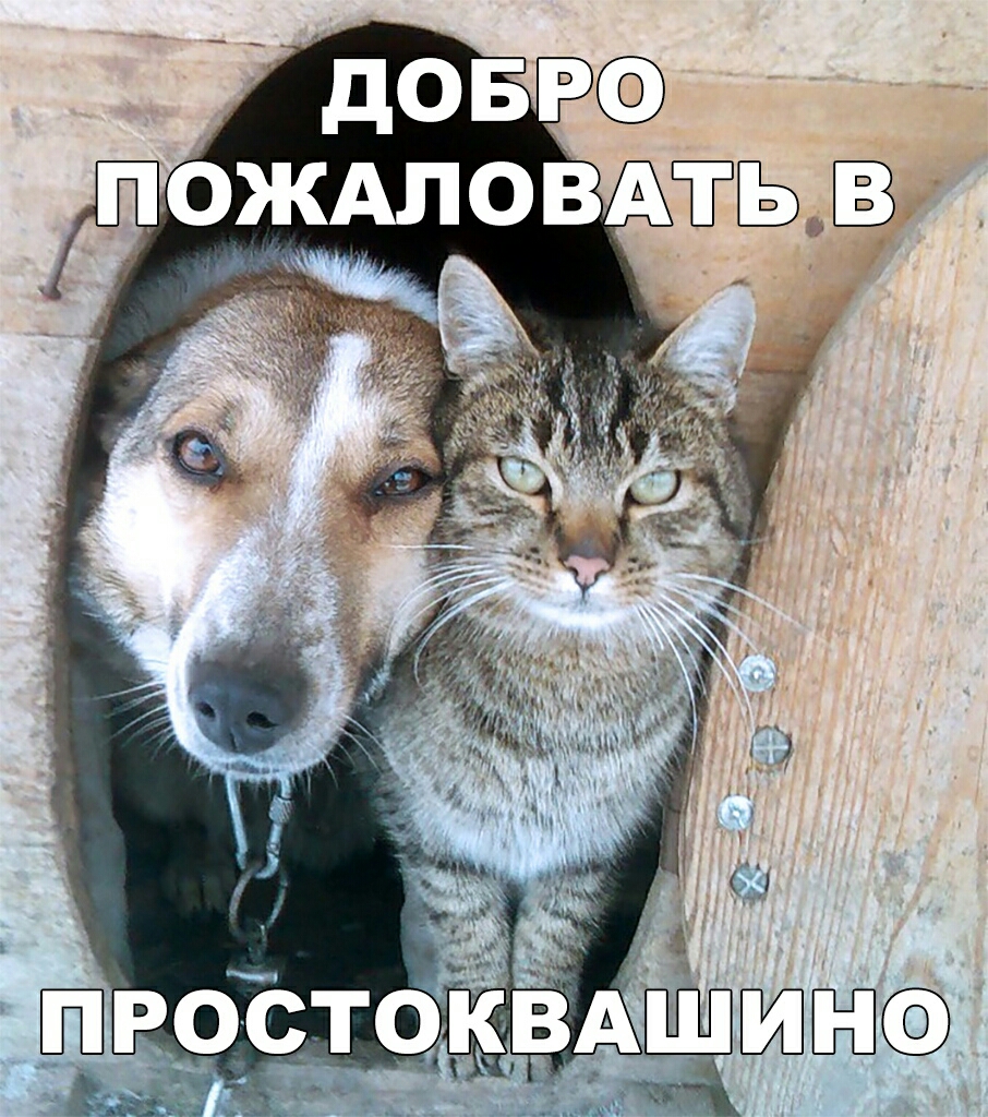 довР пожАлов