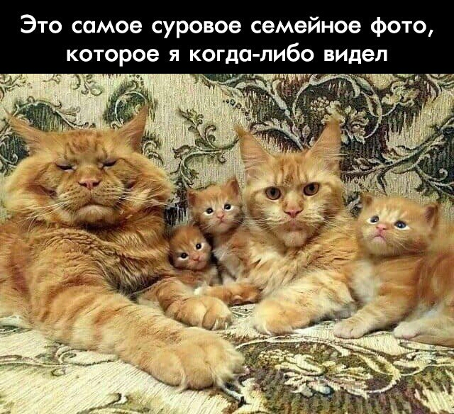 Это самое суровое семейное фото