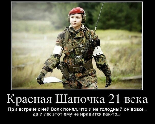 Красная Шапочка 21 века При встрече с ней Волк понял что и не голодный он вовсе да и лес этот ему не нравится каюте
