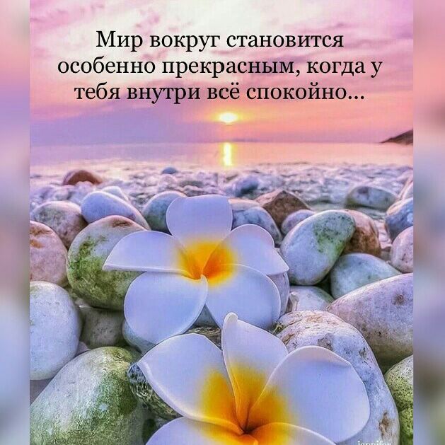 Мир вокруг становится особенно прекрасным когда у тебя внутри всё спокойно _