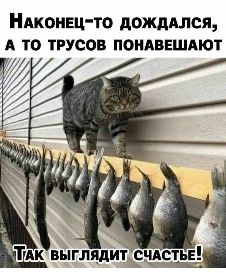 НАконвц то дожддлся А то трусов ПОНАВЕШАЮТ