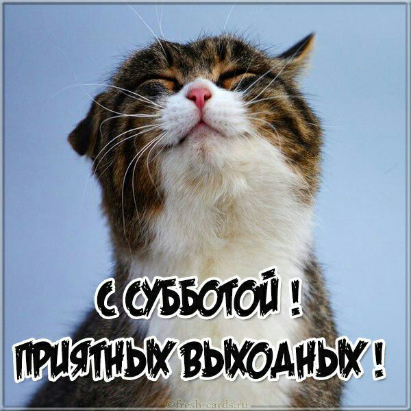 90 ЯТНЧКЗЬКОАНЬЖ