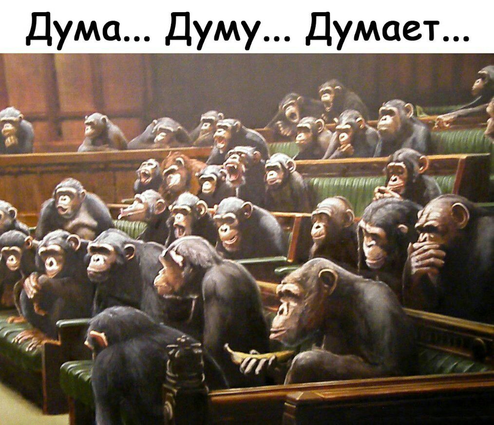 Дума Думу Думает