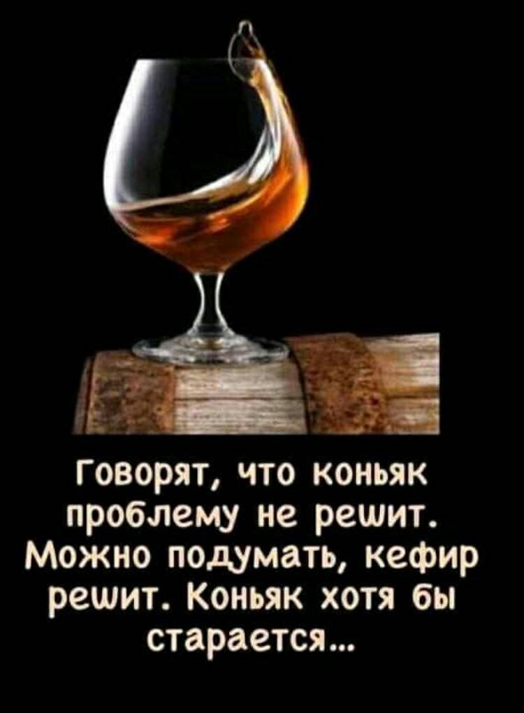 говорят что коньяк проблему не решит Можно подумать кефир решит Коньяк хотя бы старается