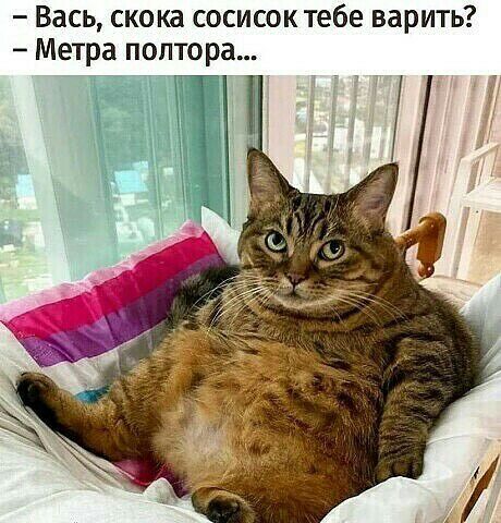 Вась скока сосисок тебе варить Метра полтора