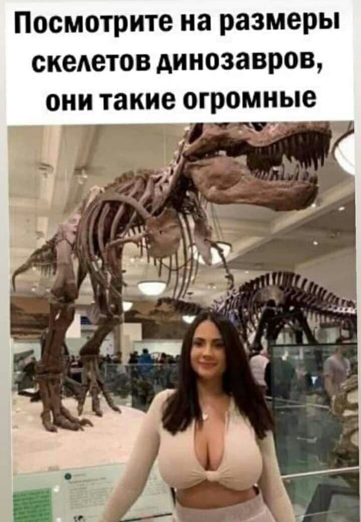 Посмотрите на размеры скелетов динозавров они такие огромные