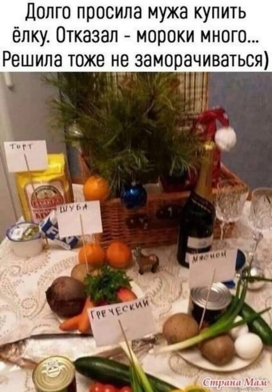 Долго просила мужа купить ёлку Отказал мороки много Реила тоже не заморачиваться