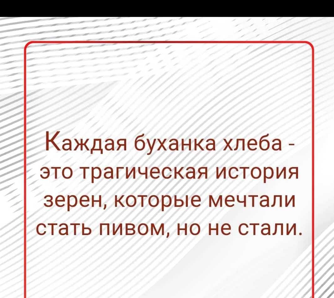 Каждая буханка хлеба ЭТО трагическая ИСТОРИЯ зерен КОТОРЫЕ мечтали стать ПИВОМ НО не стали