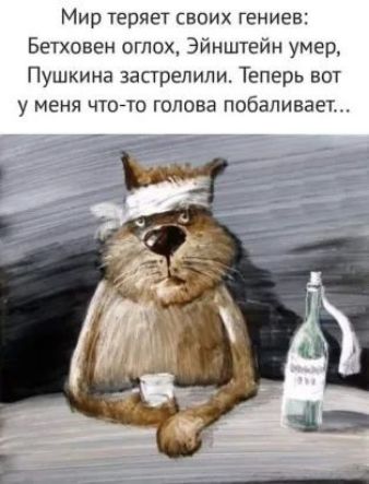 МИР ТЕРЯЕТ СВОИХ ГЕНИЕЁ Бетховен оглох Эйнштейн умер Пушкина застрелили Теперь вот у МЕНЯ ЧТОТО ГОЛОВЕ побаливает