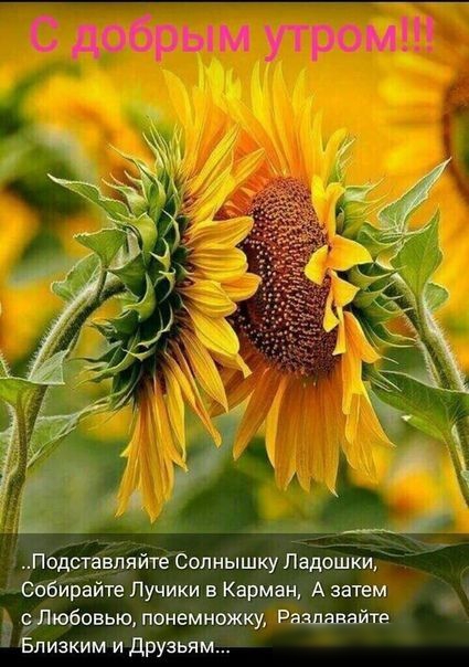 с добрым топит Авіпяйтебопнышюу Наиёшйкр эобійбайте Лучики в Карма А затем Ёдюбовьюпшнемн Раадавнйте пизкимтдрузьяшпьдй