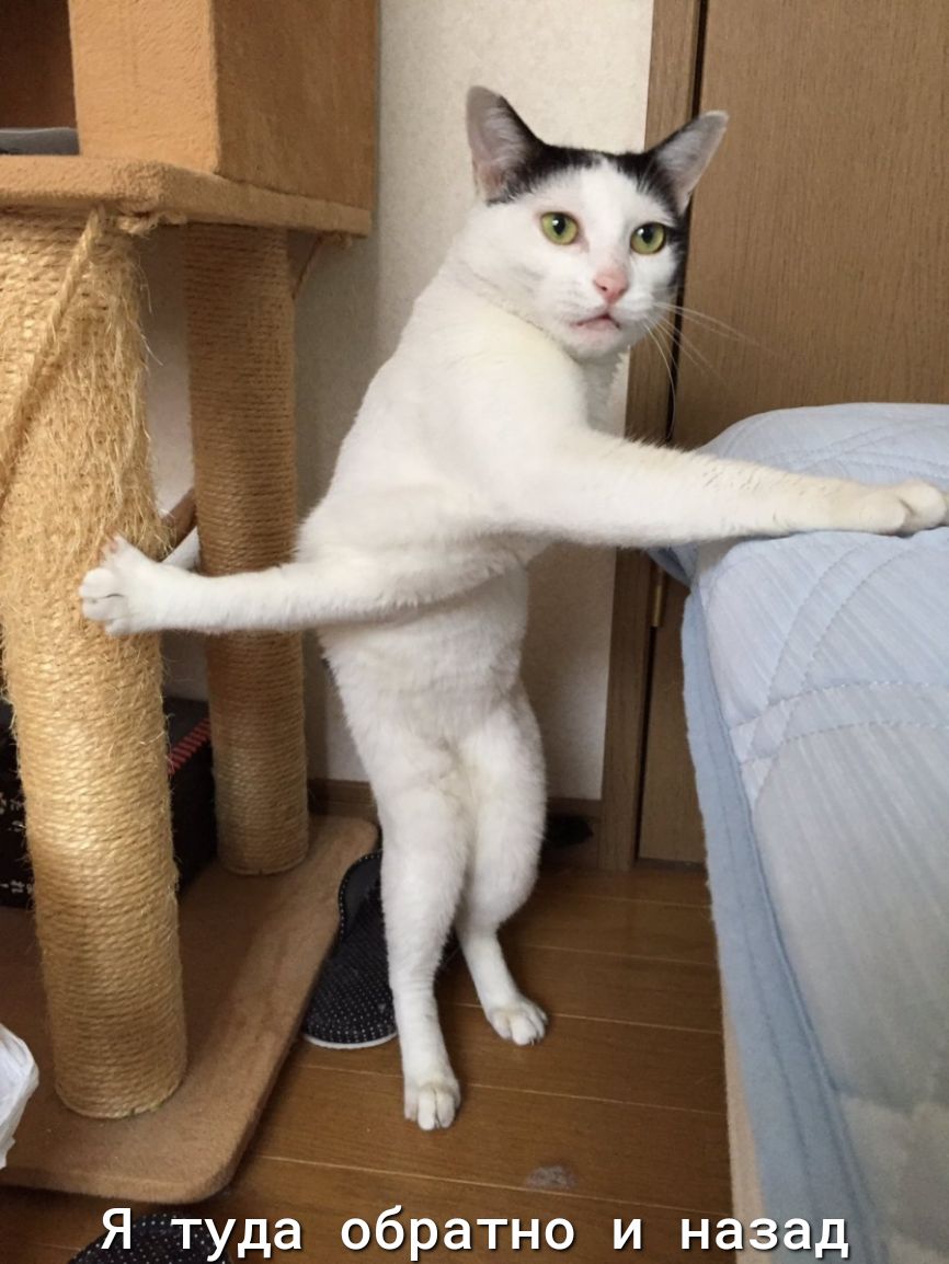 Я туда обратно и н