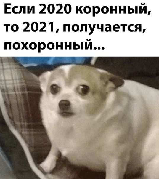 Если 2020 коронный то 2021 получается похоронный