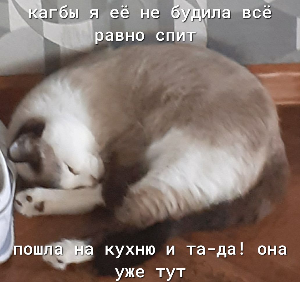 кухню и та да она уже ТУТ