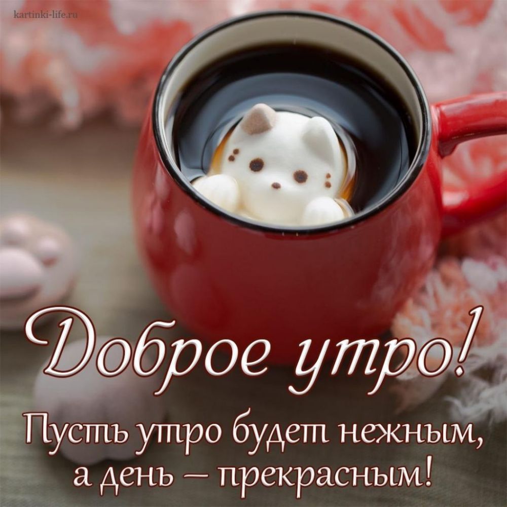 008 утдё Пусть утро будет нежным _ 7 день прекрасным