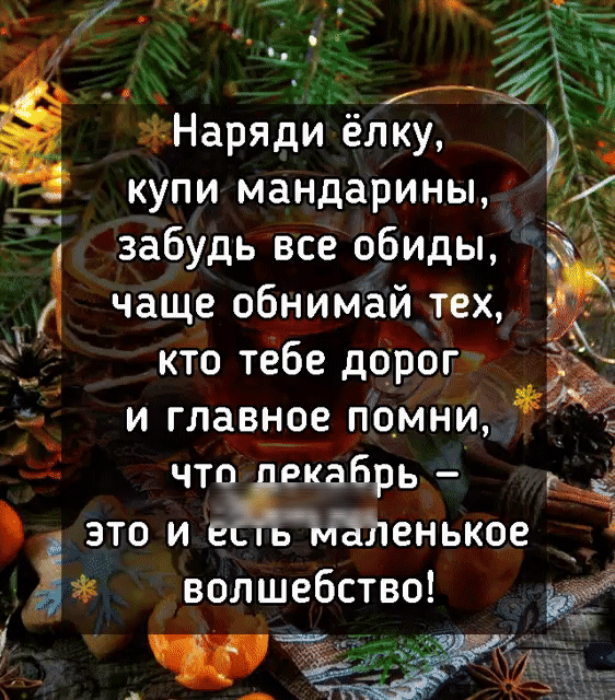_ д ужа ЁНарядйц ёлку купи мандарины А забудь все обиды чаще обнимай тех кто тёбе дорог и главное помни что екабрь это и ьм831енькое _ волшебство