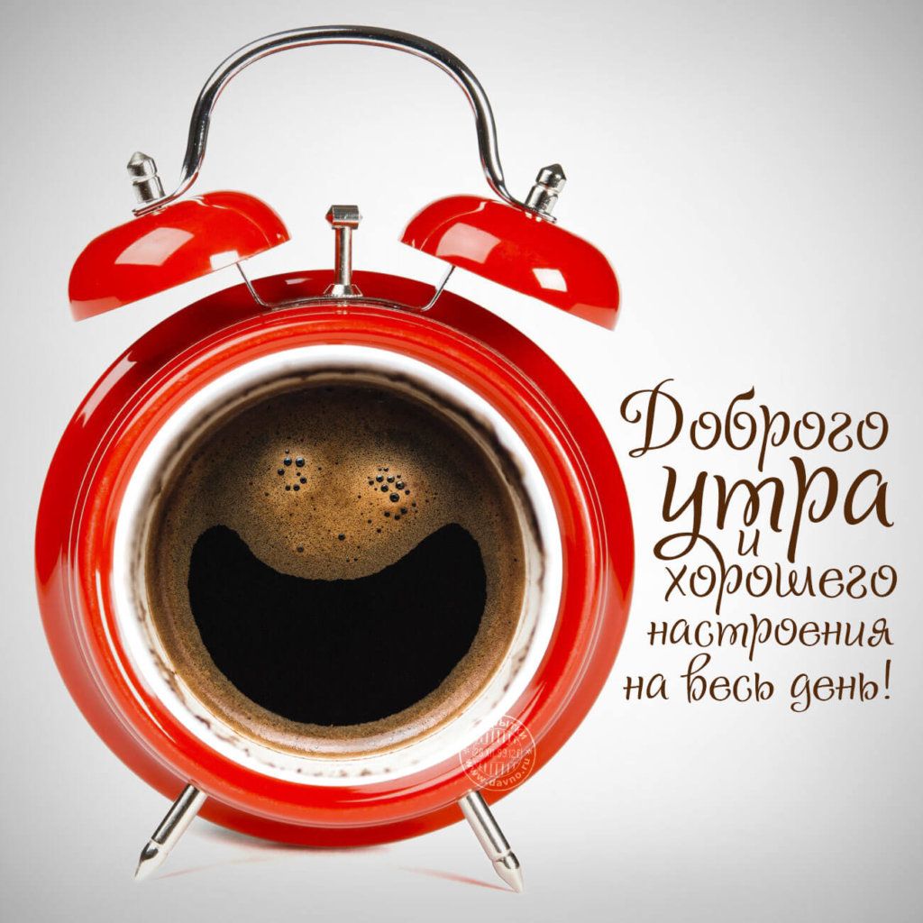 наотрееныбк на 66 зета