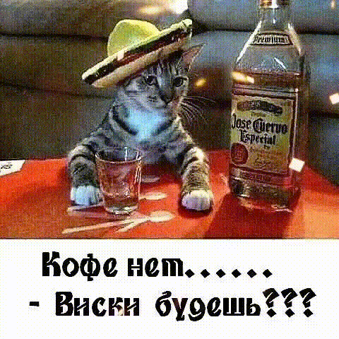 Кофе нет Виски буэсшь