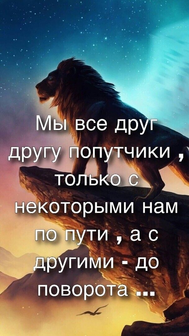 чики тогЁ которыми НЭМ