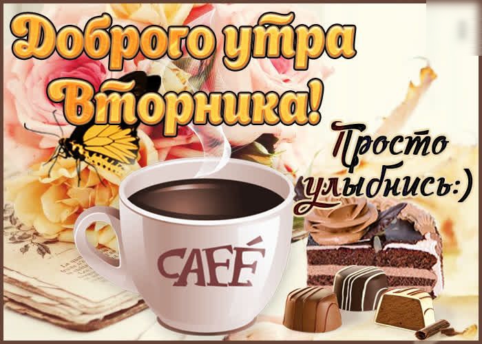 Тфосйо лыойисьд д2