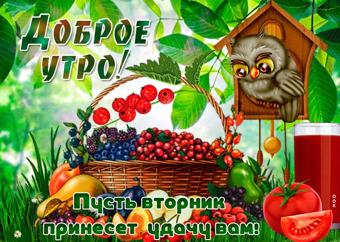тернии чдёжчч