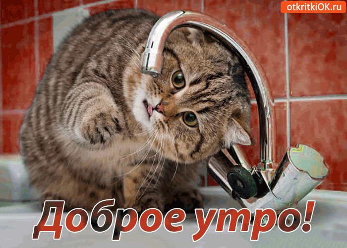 піКтНОКжц