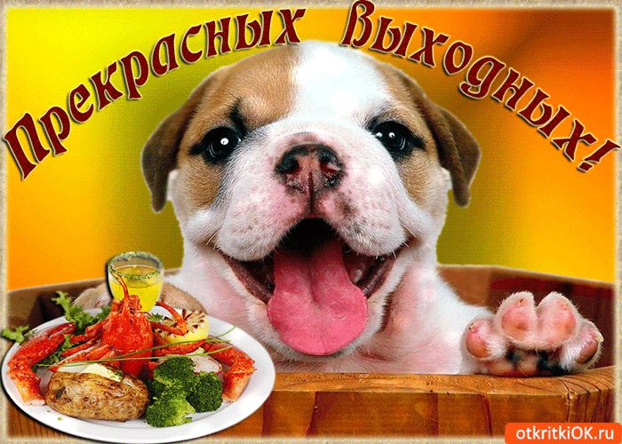 пКгісКЮКш