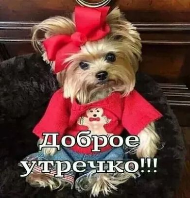 Щоёое ечкгэ