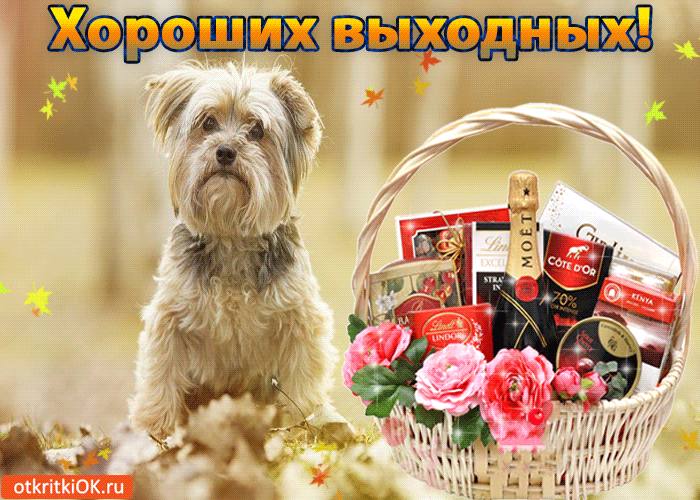 Хоорошижвыходных!