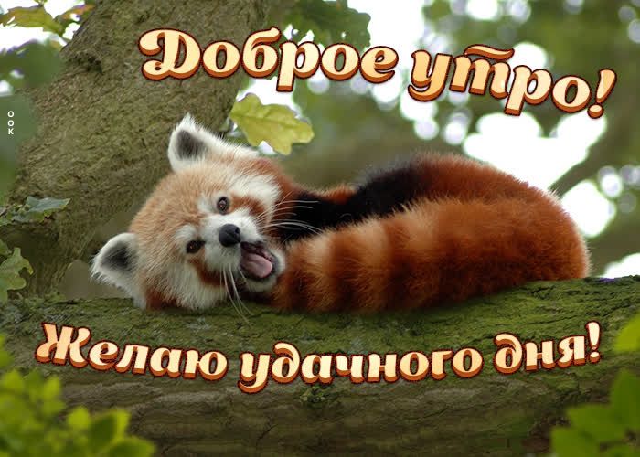 Фобботе вог  фаа  е ; !
