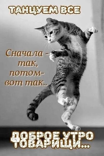 ТАНЦУЁМ Сначала _ так потом вот так