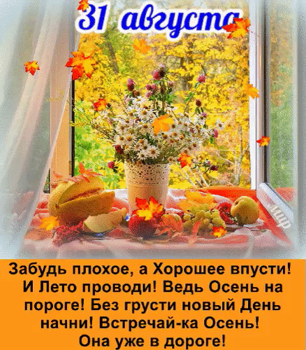 Забудь плохое а Хорошее впусти И Пвто проводи Ведь Осень на пороге Без грусти новый день начни Встречай ка Осень Она уже в дороге