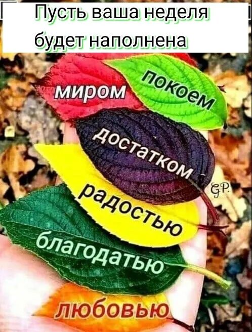 Г Пусть ваша неделя