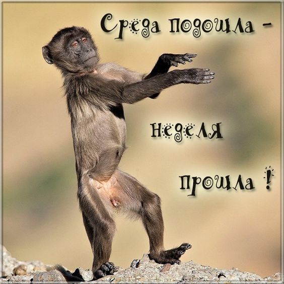 бугага Пшм
