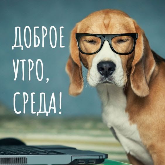 Доброц 7е и,  пк