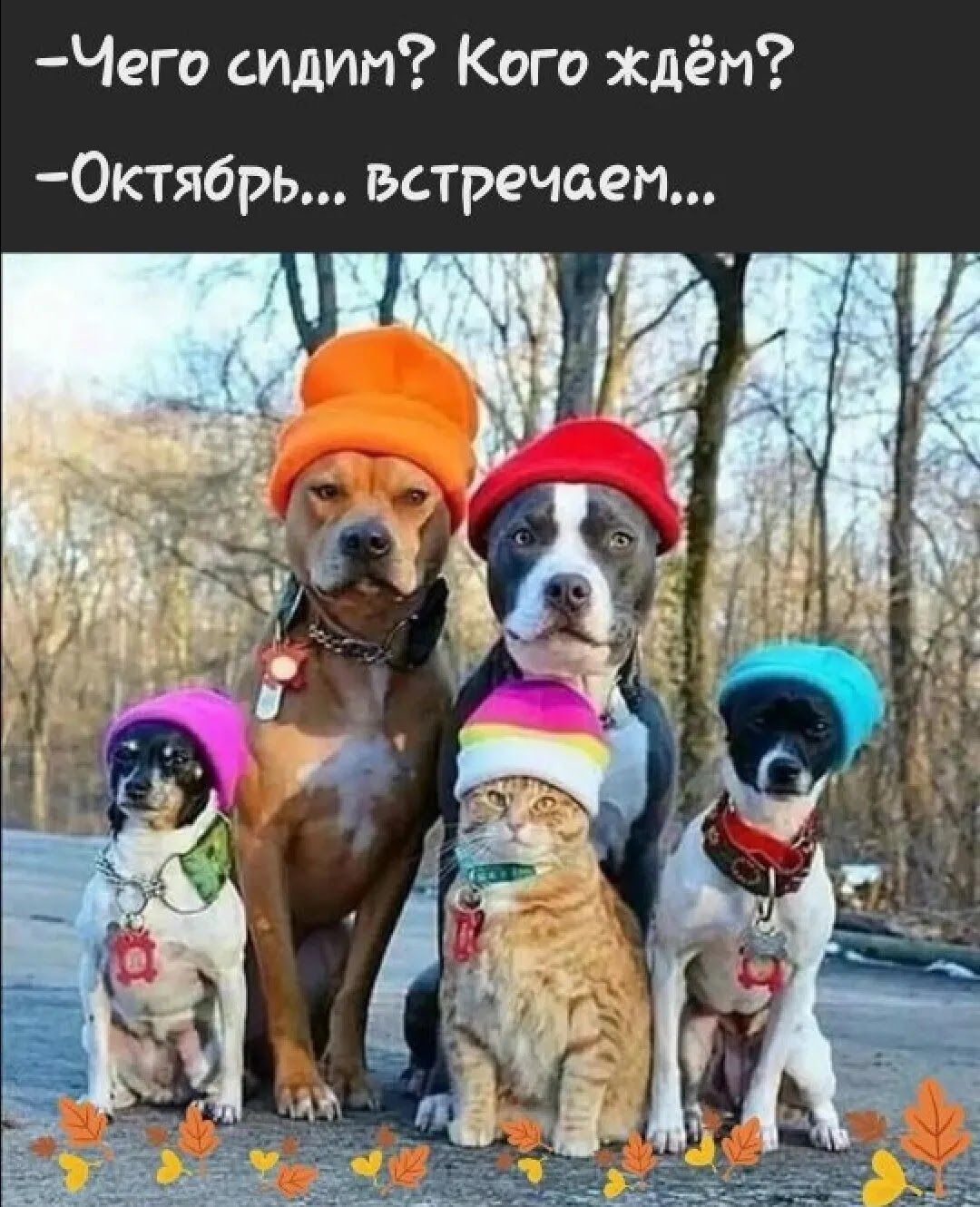 Чего сидим Кого Ждём 0ктябрь встречсьеп