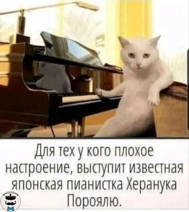 Для теху кото плохое настроение выступит известная японская пианистка Херанука Пороялю
