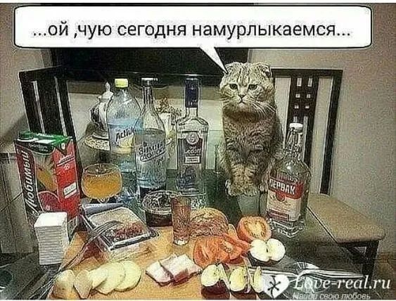 Й чую сегодня намурлыкаемся.