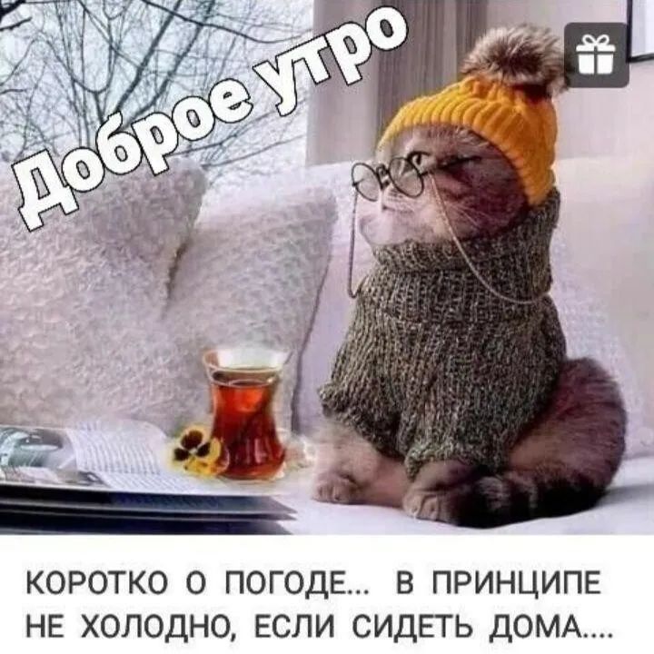 КОРОТКО О ПОГОДЕ В ПРИНЦИПЕ НЕ ХОЛОДНО ЕСЛИ СИДЕТЬ ДОМА
