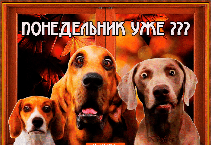 поНЦдсфпнп 5 227 1