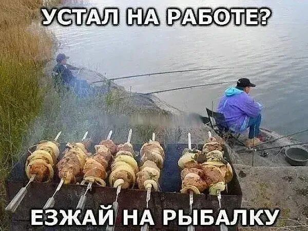 0 Б и Ё РЬБАПКУ